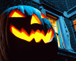 D0FA4DC0-AB58-4997-9009-FC99F4F8C780.gif
