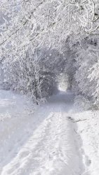 7CEE9433-B1D2-4A13-B19C-2205CCB8091A.jpeg