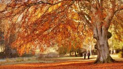 Peebles, Scotland.jpg