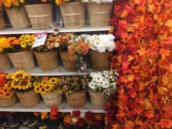23F3C999-E91B-4BAA-A8A7-33FA0376F71E.jpeg