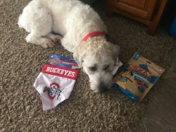 upload_2018-8-7_9-47-13.png upload_2018-8-7_9-47-13.png