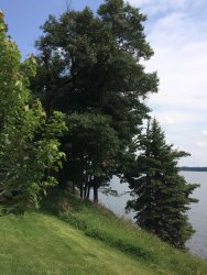 1DEB029C-69A6-4B64-B2F6-D9DC14E035EA.jpeg 1DEB029C-69A6-4B64-B2F6-D9DC14E035EA.jpeg