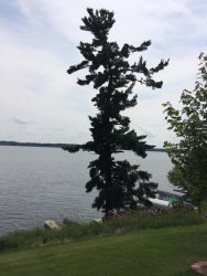 8BCCF545-287D-4590-ADFF-848BB179AA74.jpeg 8BCCF545-287D-4590-ADFF-848BB179AA74.jpeg