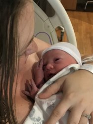 875B5F80-F378-419C-834F-62EB520995DE.jpeg 875B5F80-F378-419C-834F-62EB520995DE.jpeg