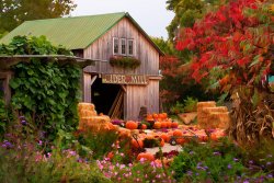 vermont-pumpkins-and-autumn-flowers-jeff-folger.jpg