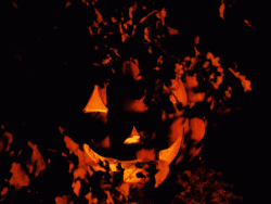 giphy (1).gif