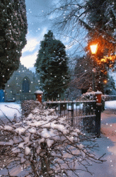 3313B2B2-9066-40B3-AB7D-6E13693C7129.gif