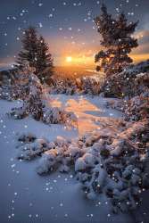 D704EEBE-F1EE-4D21-A53B-B3CDB3982B2C.gif