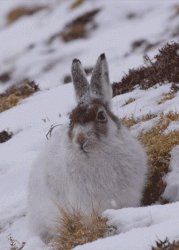 D0575635-AF30-499B-AAA8-ED7E9DECD852.gif
