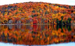 98A6C8ED-D297-4B99-B646-831460DED644.jpeg