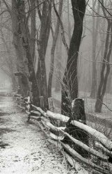 355465FD-83EB-472D-9A68-962D3EEED4B6.jpeg