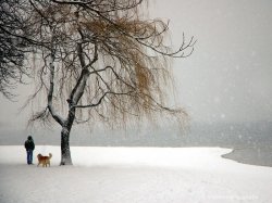4C1F6A27-1B43-4A4B-9277-F0119A809F83.jpeg