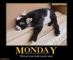 6C324F9E-A3EA-4EF3-A6E2-AE37949C0876.jpeg