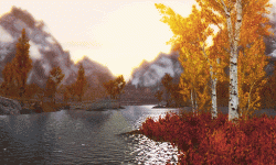 FD11D92C-3D54-40A5-B386-56EAEA946CE4.gif
