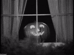 ImpressivePlumpBarnswallow-max-1mb.gif