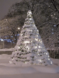 58F720A3-8E3E-49DE-9F26-F30AF8BC5B77.gif