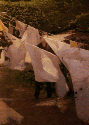 82A4A425-0F8D-4B13-9B31-B7F7BC0D4F08.gif