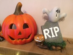 thumbnail_IMG_0729.jpg