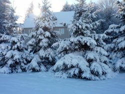 wintery.jpg