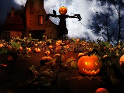 scarecrow-field-pumpkins-halloween-scene-45372223.jpg