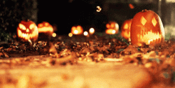 1681F67B-B1D2-48F0-B141-A3758E06CF58.gif