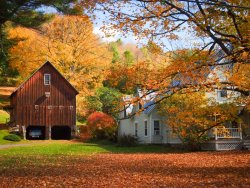 House-in-the-Fall.jpg