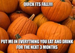 Pumpkins.jpeg