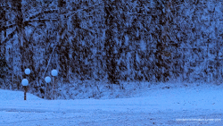 tumblr_p124jscQxC1viuar9o1_500.gif
