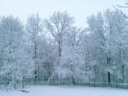 56D23360-83C3-4CF5-845B-D1FA559C300F.jpeg