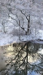 8CC067CC-6D50-410C-9646-ABDCD0E5D59A.jpeg