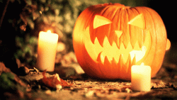 18FEBD04-00F5-41A6-821C-55079A740F24.gif