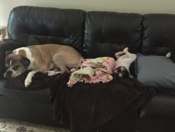 Naps.jpg
