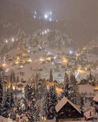 christmas lights.jpg