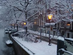 1F822B46-593B-4D9E-A372-9D73E2DA671F.jpeg