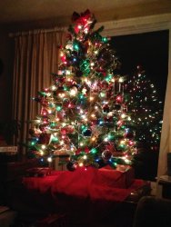 tree.jpg