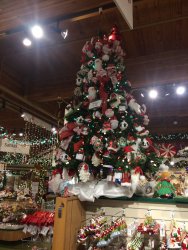 IMG_3433.JPG