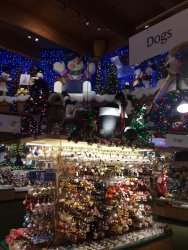 IMG_3460.JPG IMG_3460.JPG