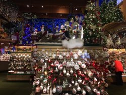 IMG_3471.JPG
