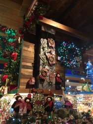 IMG_3481.JPG