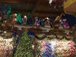 IMG_3495.JPG