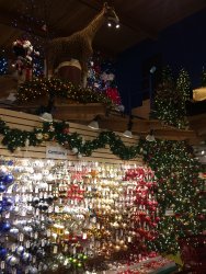 IMG_3498.JPG IMG_3498.JPG
