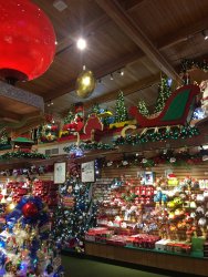 IMG_3513.JPG