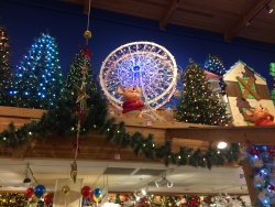 IMG_3517.JPG