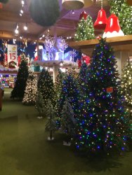 IMG_3541.JPG