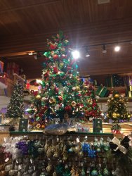 IMG_3562.JPG