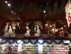 IMG_3583.JPG