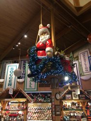 IMG_3591.JPG