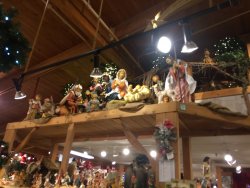 IMG_3618.JPG IMG_3618.JPG