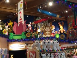 IMG_3685.JPG