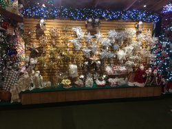 IMG_3766.JPG